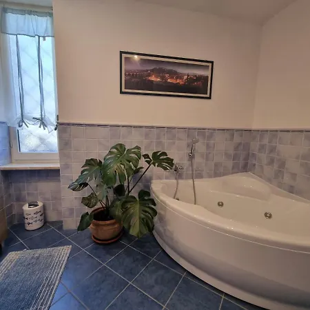 La Casa Al Santuario Vicoforte